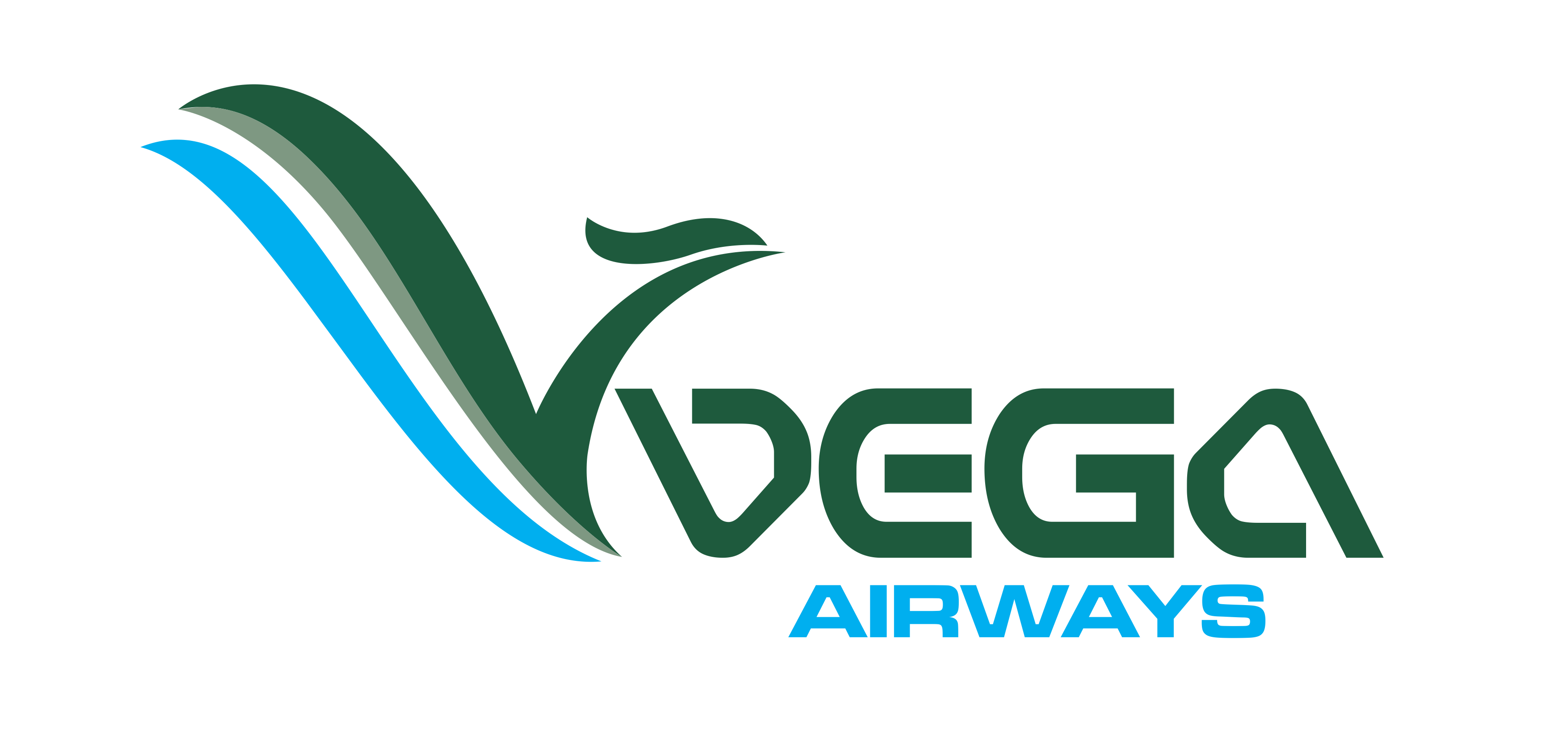 Vega Airways